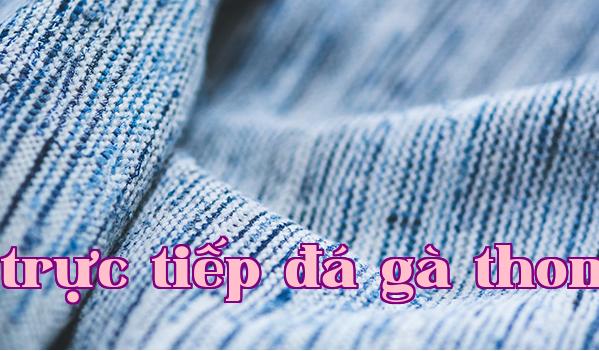 Phân biệt vải Modal và vải Spandex.